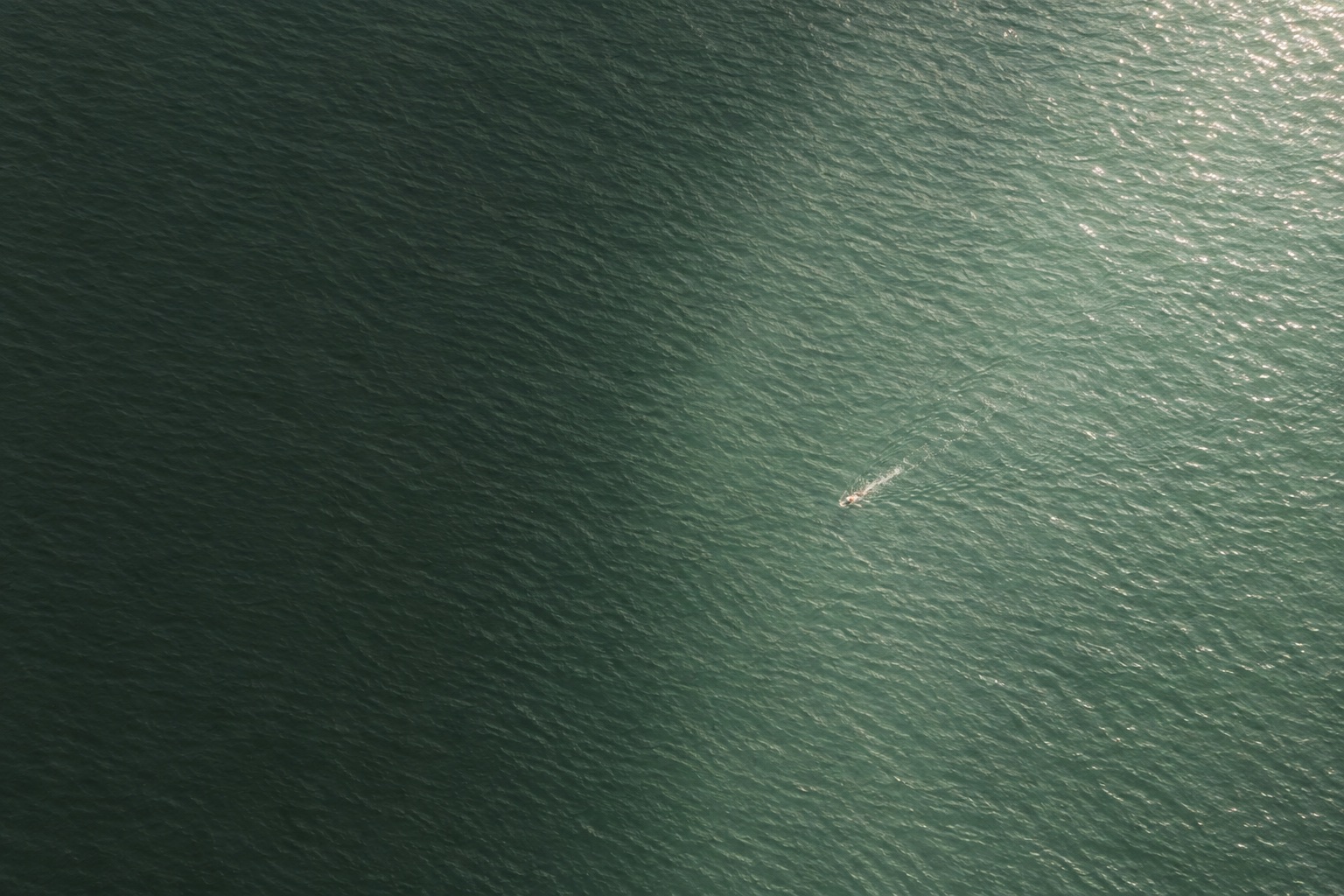 From a high cliff, a single swimmer far below trails a thin white wake across a wide dark green sea.
